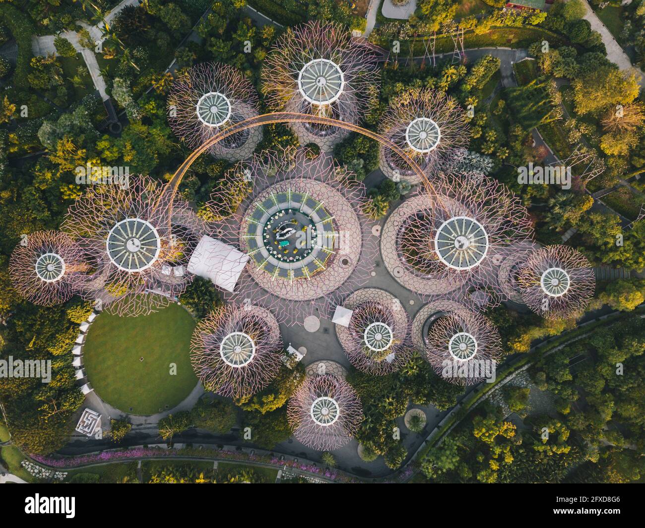 Aerial view of the Supertree Grove green garden during sunrise light in