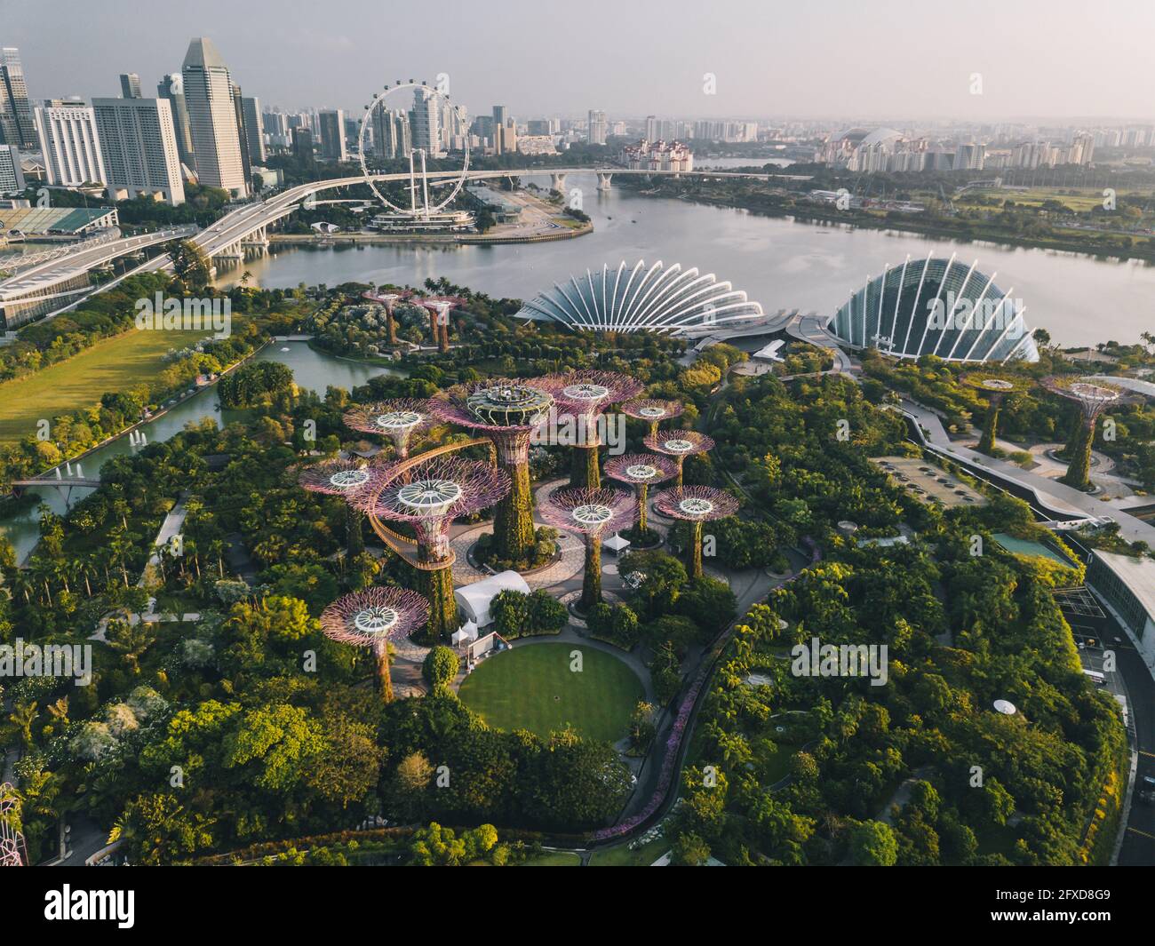 Aerial view of the Gardens by the Bay and Singapore’s sky line during sunrise light. Stock Photo