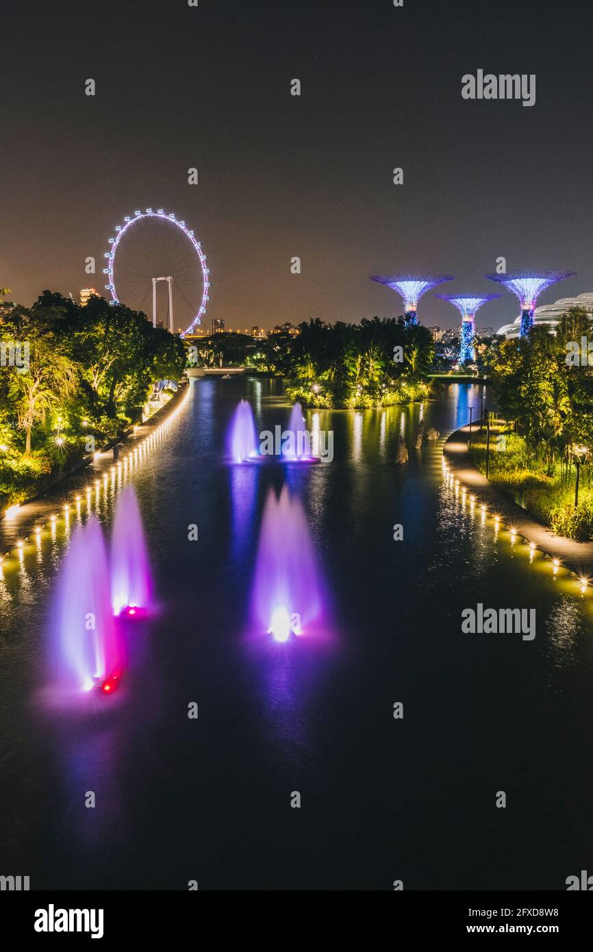 Flyer Singapore observation wheel and Supertree Grove lighted at night time in Singapore. Stock Photo