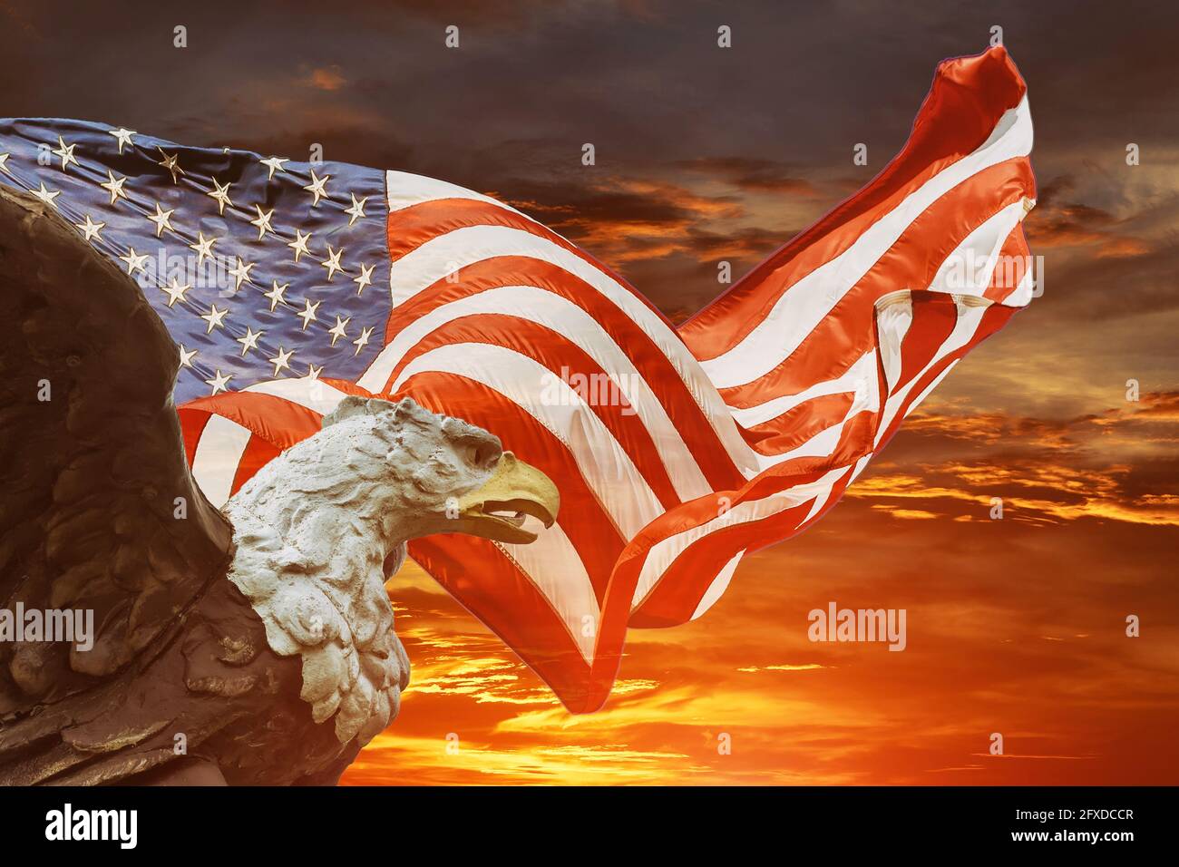 An american bald eagle on american flag Stock Photo - Alamy, image size:1300x956