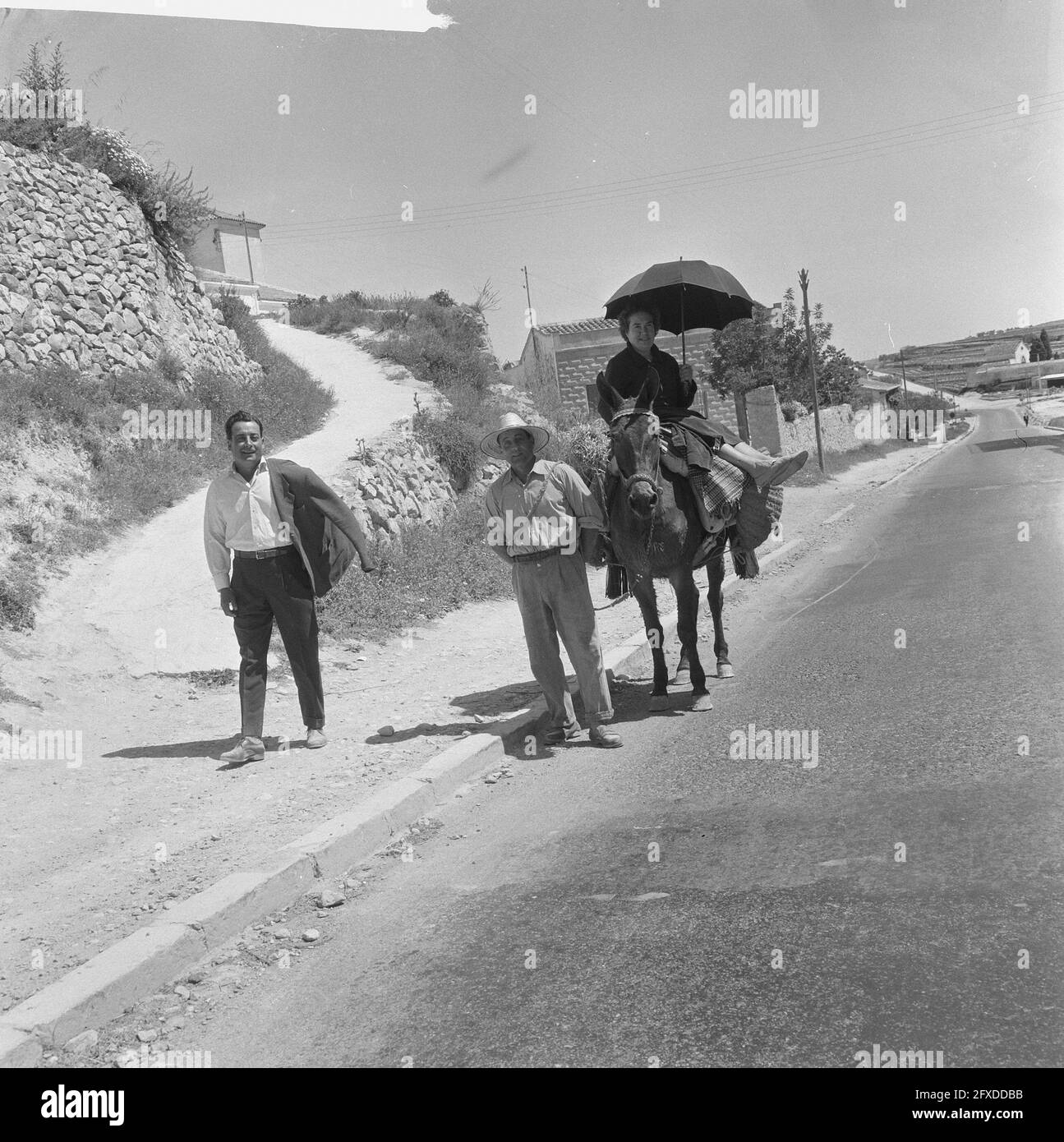 Spain, donkey as riding animal, July 27, 1965, donkeys, The Netherlands, 20th century press agency photo, news to remember, documentary, historic photography 1945-1990, visual stories, human history of the Twentieth Century, capturing moments in time Stock Photo