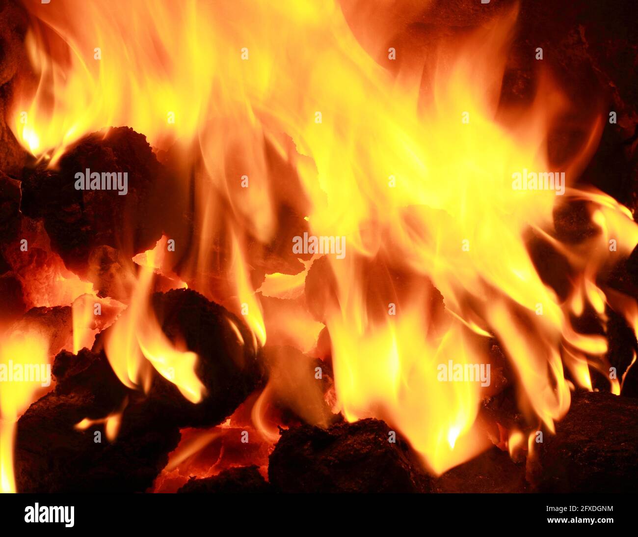 Domestic coal fire, burning, in hearth, fossil fuel, fuels, heat, warmth, flame, flames Stock Photo
