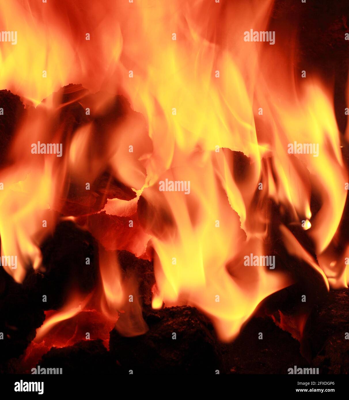 Domestic coal fire, burning, in hearth, fossil fuel, fuels, heat, warmth, flame, flames Stock Photo