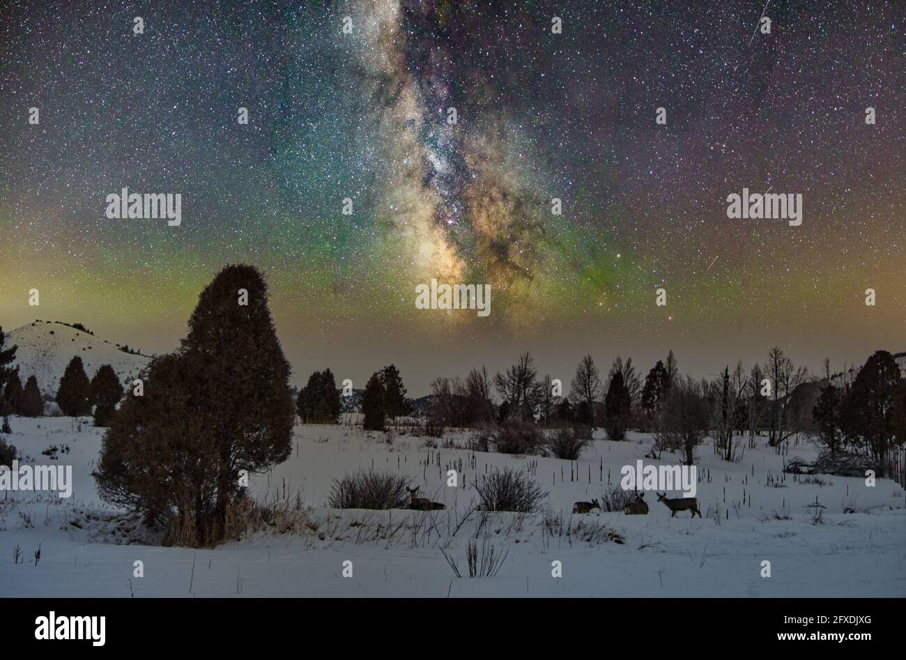 Beautiful view of the Milky Way Galaxy over a mountainous landscape ...