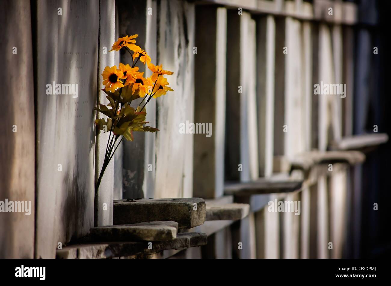 Flowers are inserted into a wall of oven vaults at Odd Fellows Rest Cemetery, Nov. 14, 2015, in New Orleans, Louisiana. Stock Photo