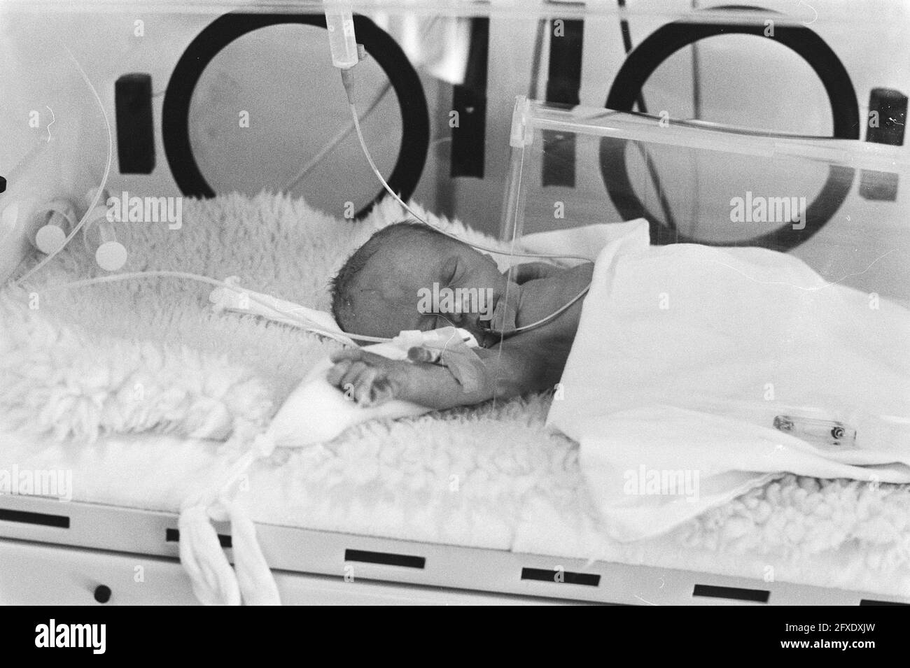 Koen in the incubator, October 14 1983, babies, incubators, multiple births, The Netherlands, 20th century press agency photo, news to remember, documentary, historic photography 1945-1990, visual stories, human history of the Twentieth Century, capturing moments in time Stock Photo