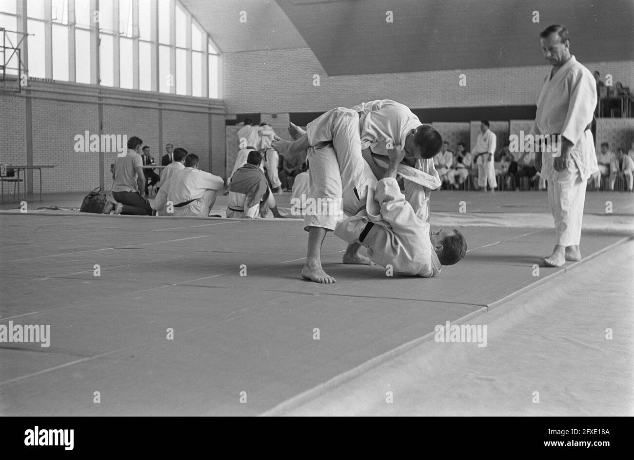 Students judo for European title in Delft, overview from team competitions, July 2, 1964, JUDO, STUDENTS, TITELS, overviews, The Netherlands, 20th century press agency photo, news to remember, documentary, historic photography 1945-1990, visual stories, human history of the Twentieth Century, capturing moments in time Stock Photo