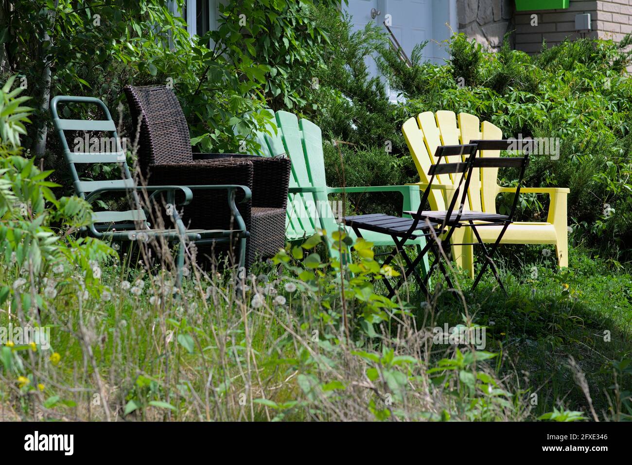 Eclectic group of garden chairs in late spring sunshine in a very overgrown front lawn of a house in Ottawa, Ontario, Canada. Stock Photo