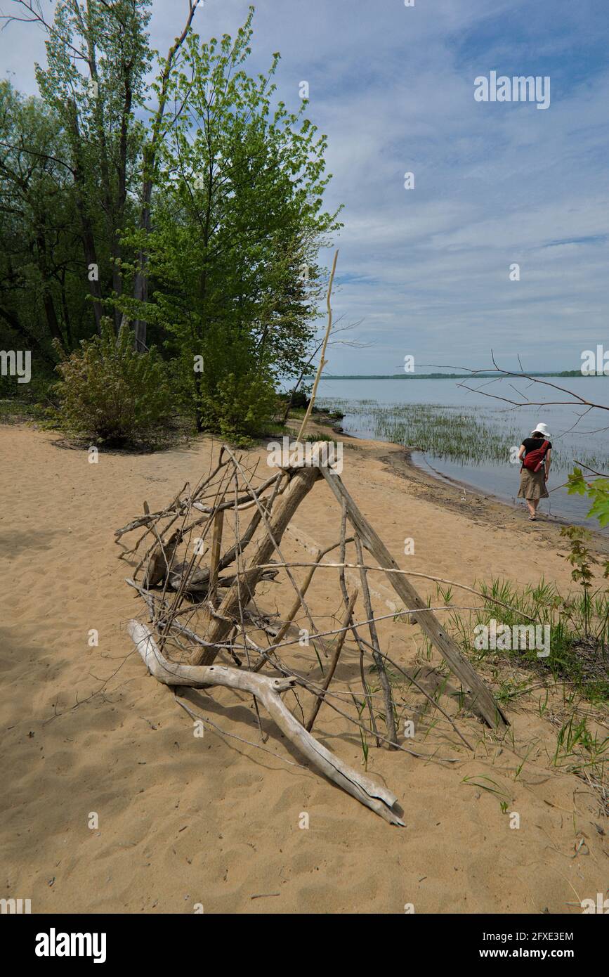 Beach scene at Petrie Island wetlands on the Ottawa River just to the