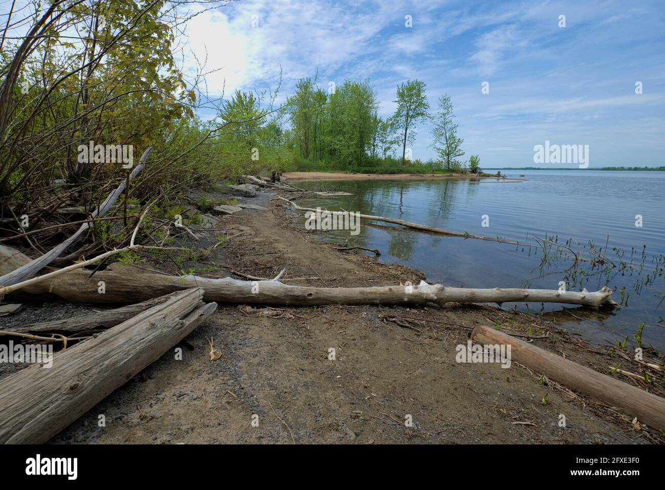 Lovely view of the Petrie Island wetlands on the Ottawa River just to the east of Ottawa, Ontario, Canada. Stock Photo