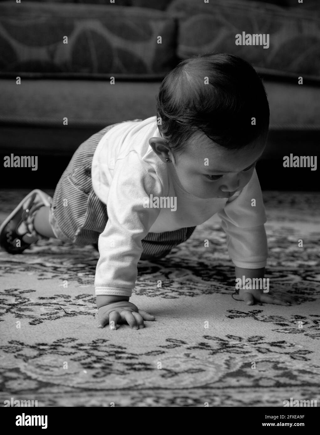 adorable little latin toddler, crawling on textured rug, wears casual clothes in studio, black and white photo Stock Photo