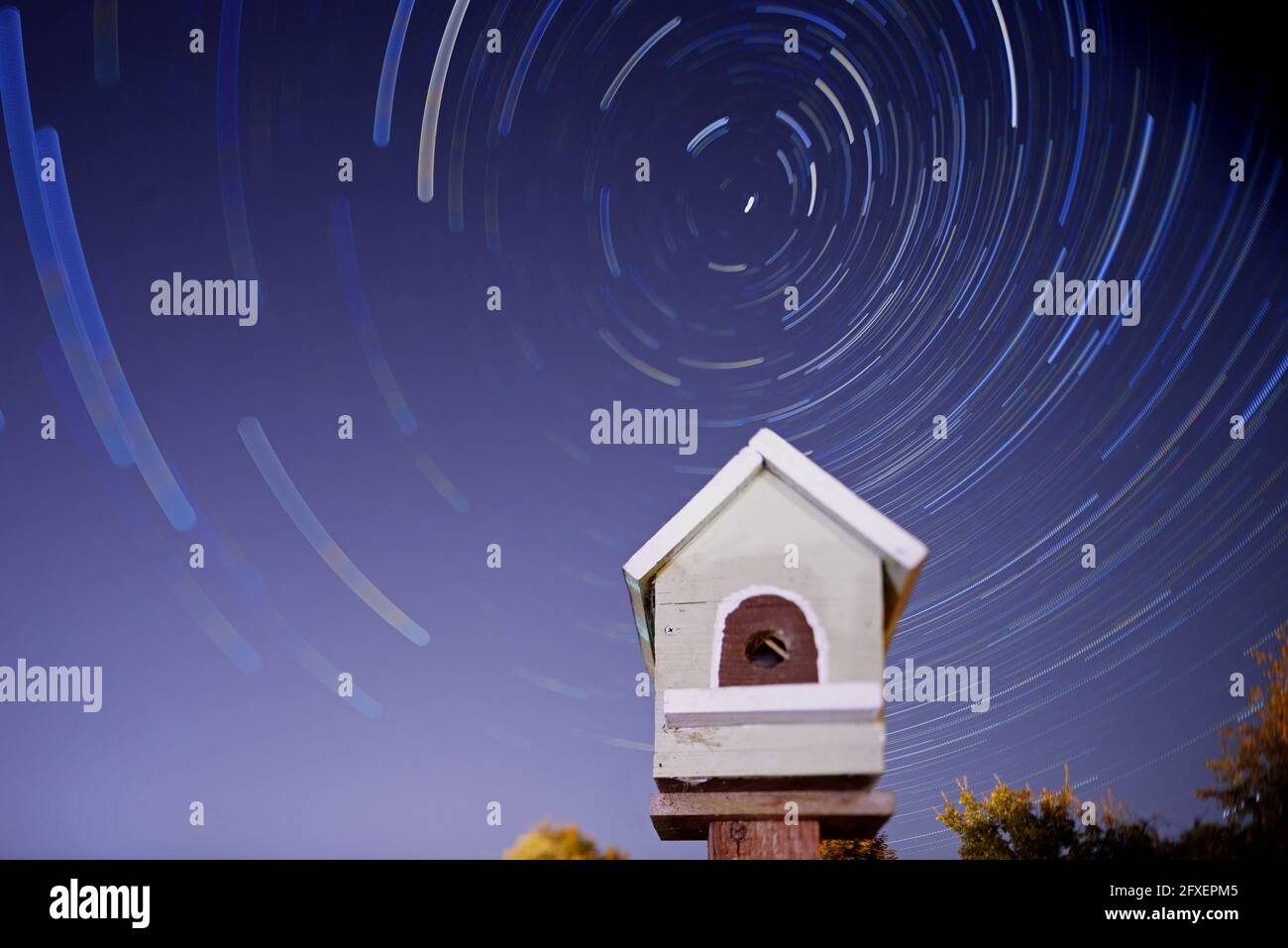 Tilted Star Trail Stock Photo