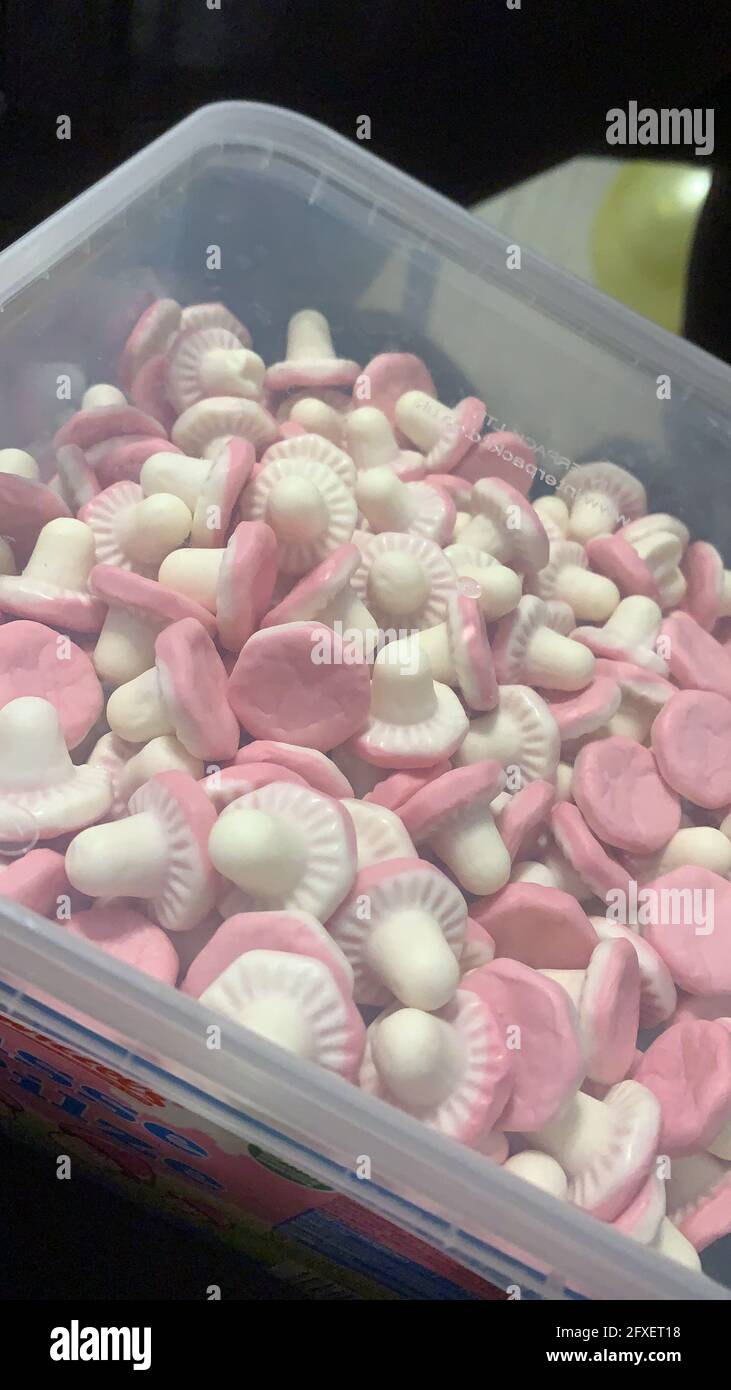 Plastic container full of marshmallow mushroom candy Stock Photo Alamy