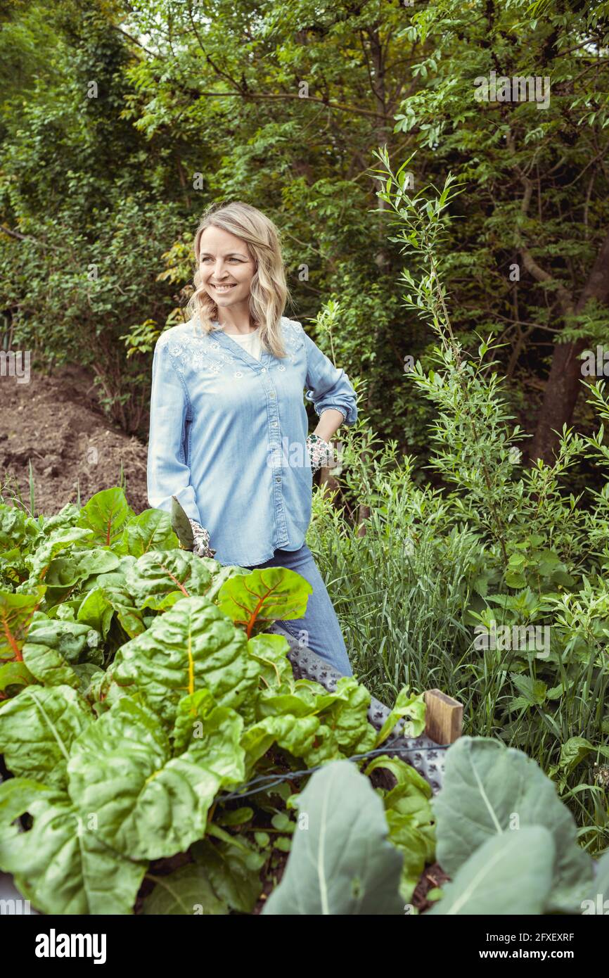 young pretty woman with blue shirt and gloves with flower design posing by raised bed full of fresh vegetables and lettuce Stock Photo