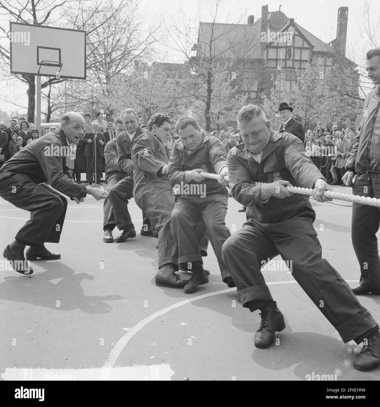 Rope pulling championships of the Netherlands, the KNSM team in action during finals, April 30, 1965, Rope pulling, finals, championships, The Netherlands, 20th century press agency photo, news to remember, documentary, historic photography 1945-1990, visual stories, human history of the Twentieth Century, capturing moments in time Stock Photo