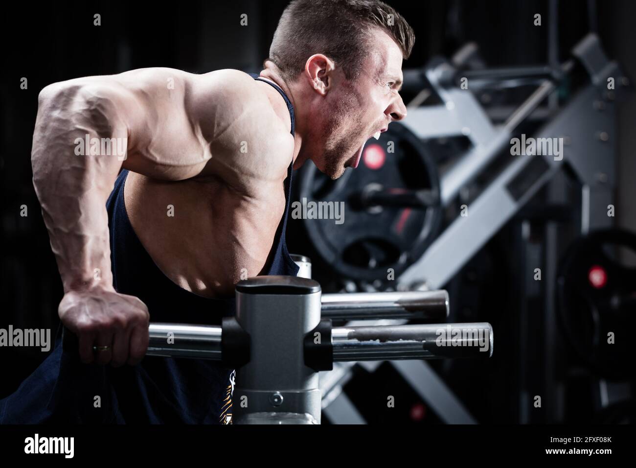 Bodybuilder man in gym doing dips as arm training Stock Photo Alamy
