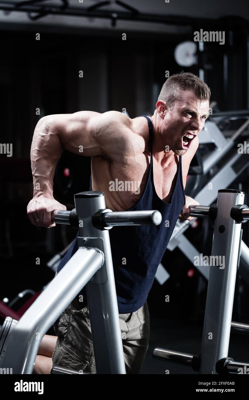 Bodybuilder man in gym doing dips as arm training Stock Photo Alamy