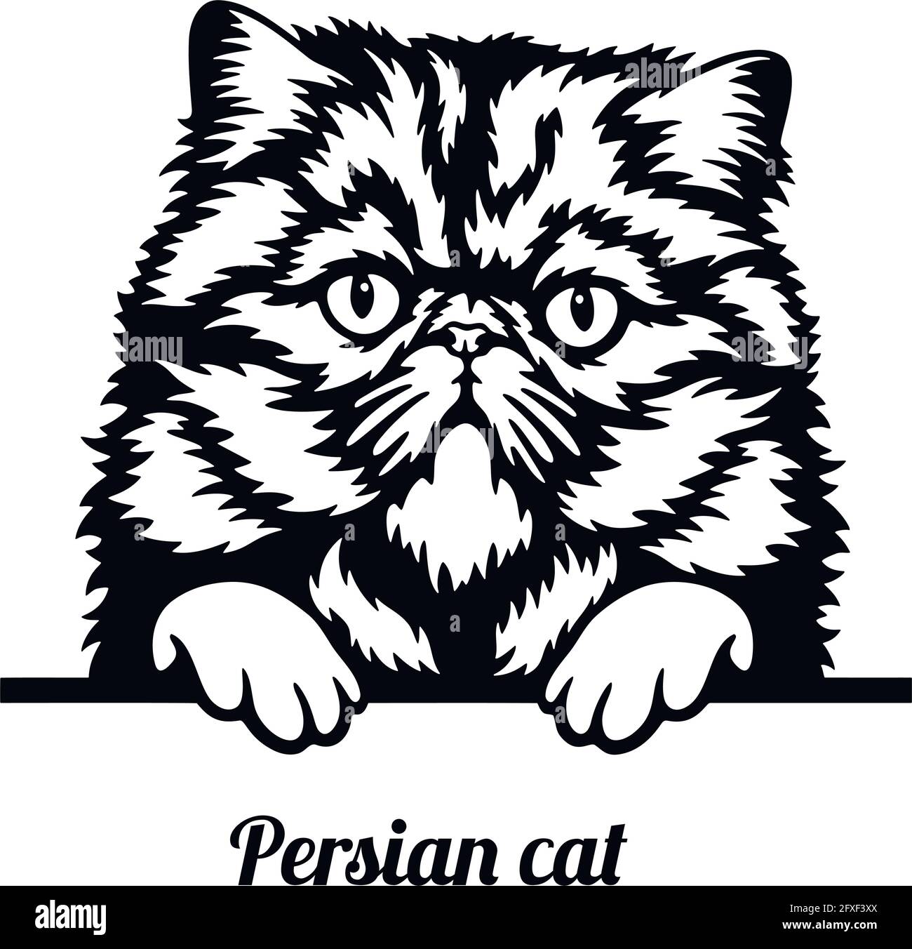Persian Cat - Cat breed. Cat breed head isolated on a white background - vector stock Stock Vector