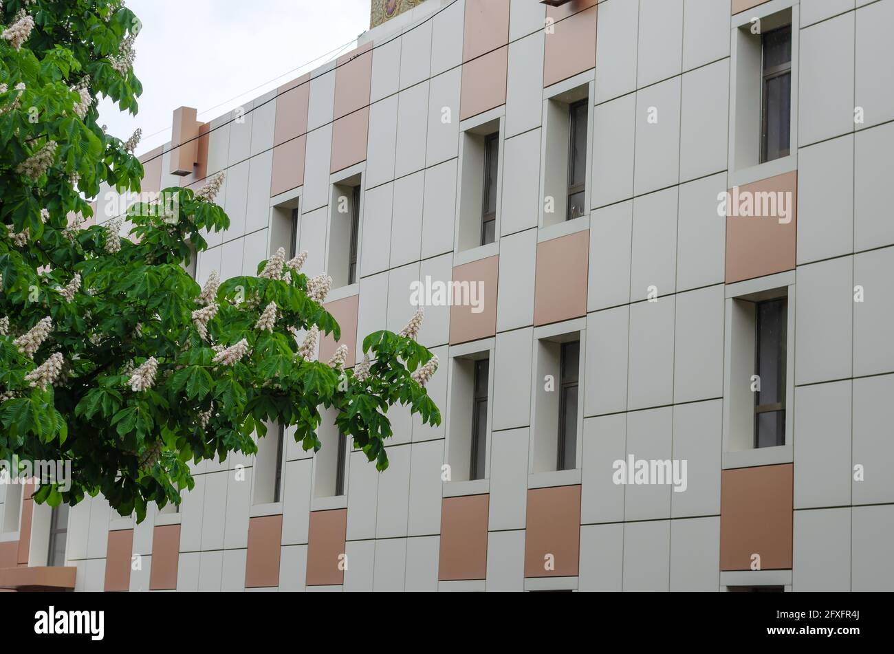 Beige and brown facade of a modern building. Flowering chestnut branches in the foreground. Daytime. Shooting in the rain. Architecture. Stock Photo