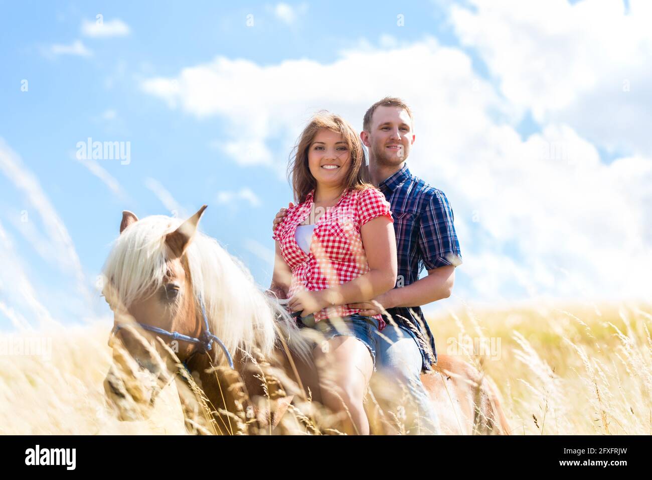 Couple riding on horse in summer meadow Stock Photo Alamy