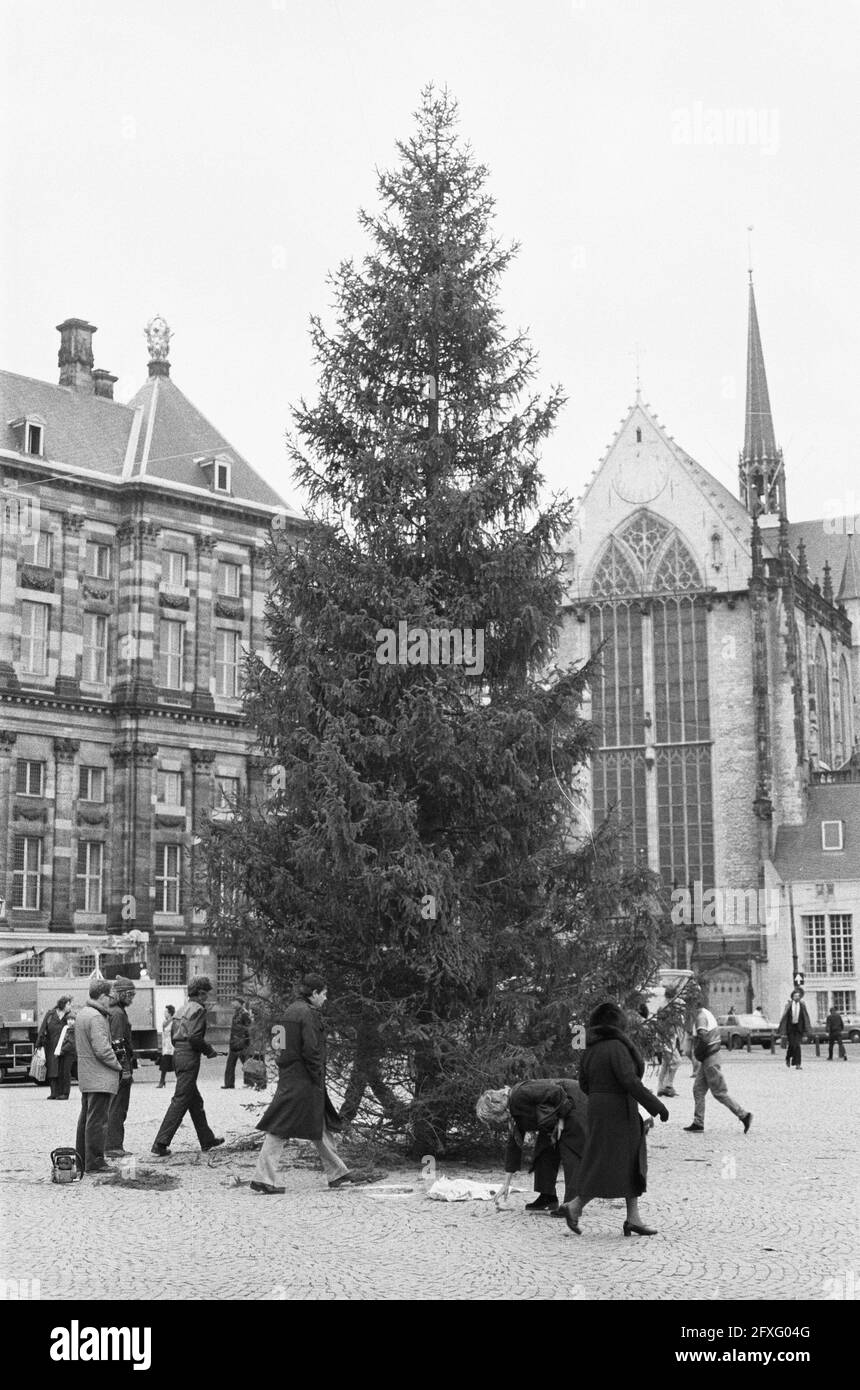 Today a large Christmas tree was placed on Dam Square in Amsterdam, December 15, 1980, Christmas trees, The Netherlands, 20th century press agency photo, news to remember, documentary, historic photography 1945-1990, visual stories, human history of the Twentieth Century, capturing moments in time Stock Photo