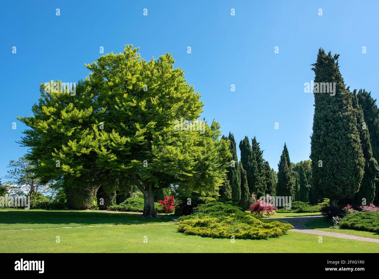 Urban park with trees hi-res stock photography and images - Alamy