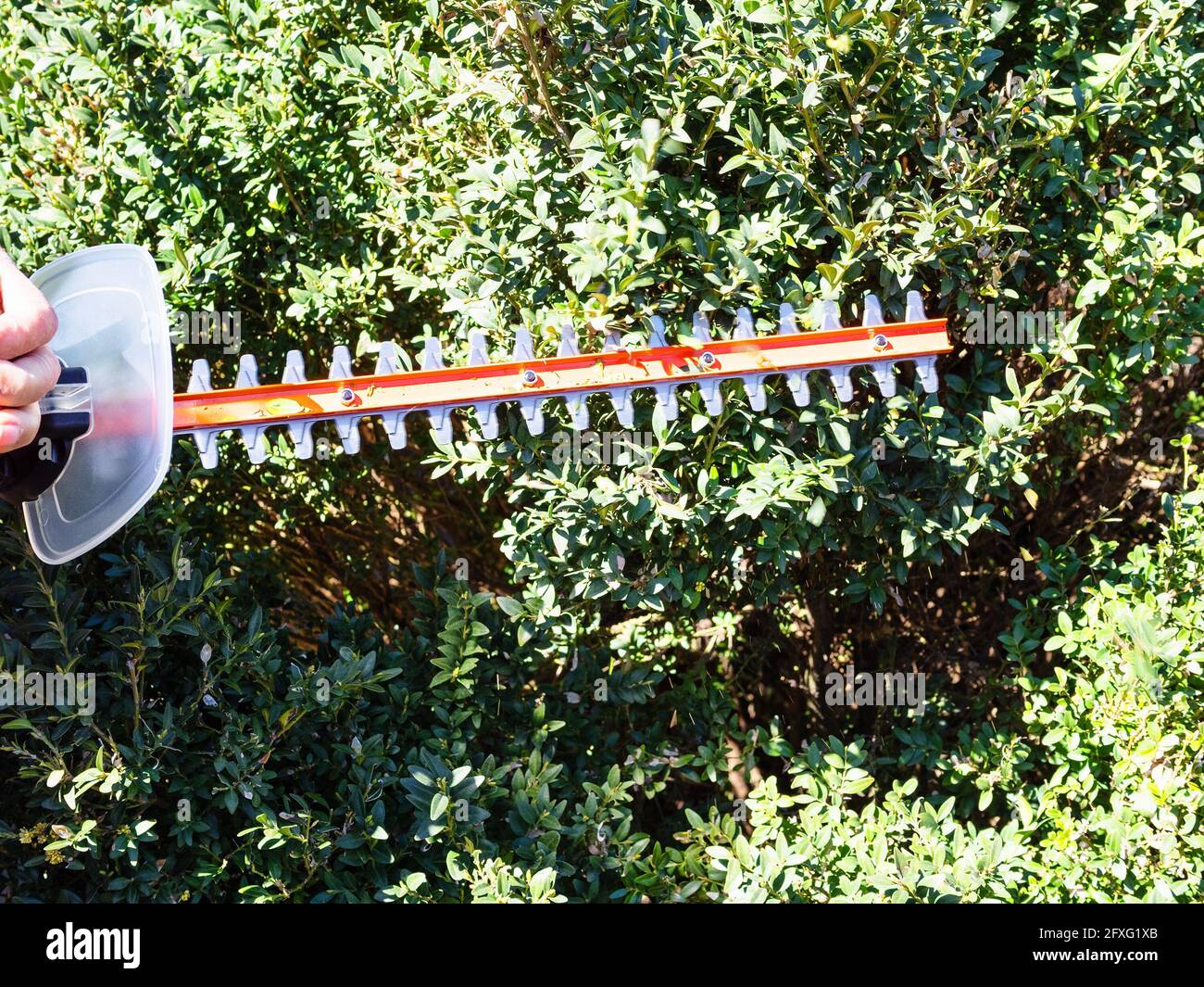 Shaving bush hires stock photography and images Alamy