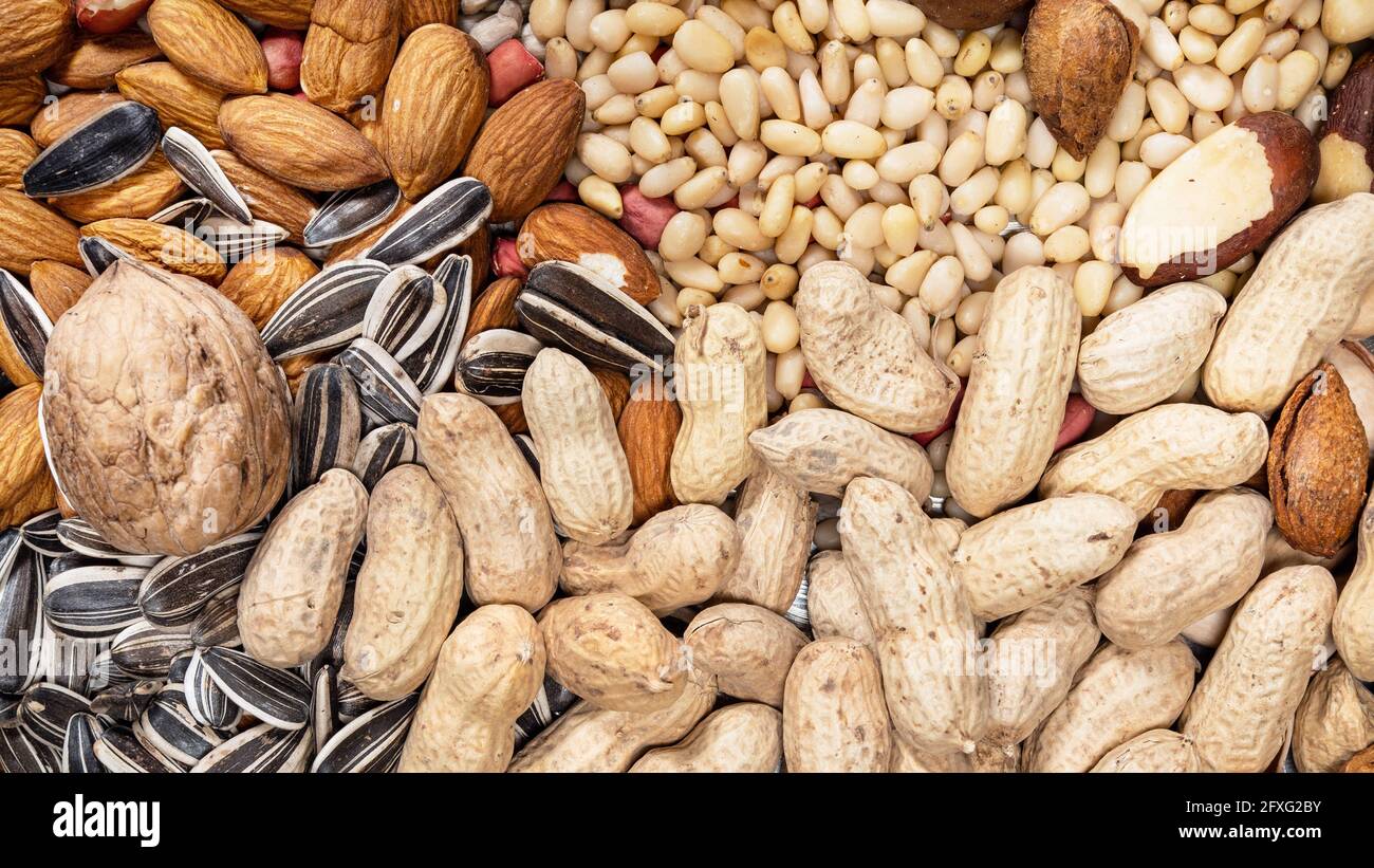 peanuts pine nuts and other seeds and nuts on panoramic background Stock Photo