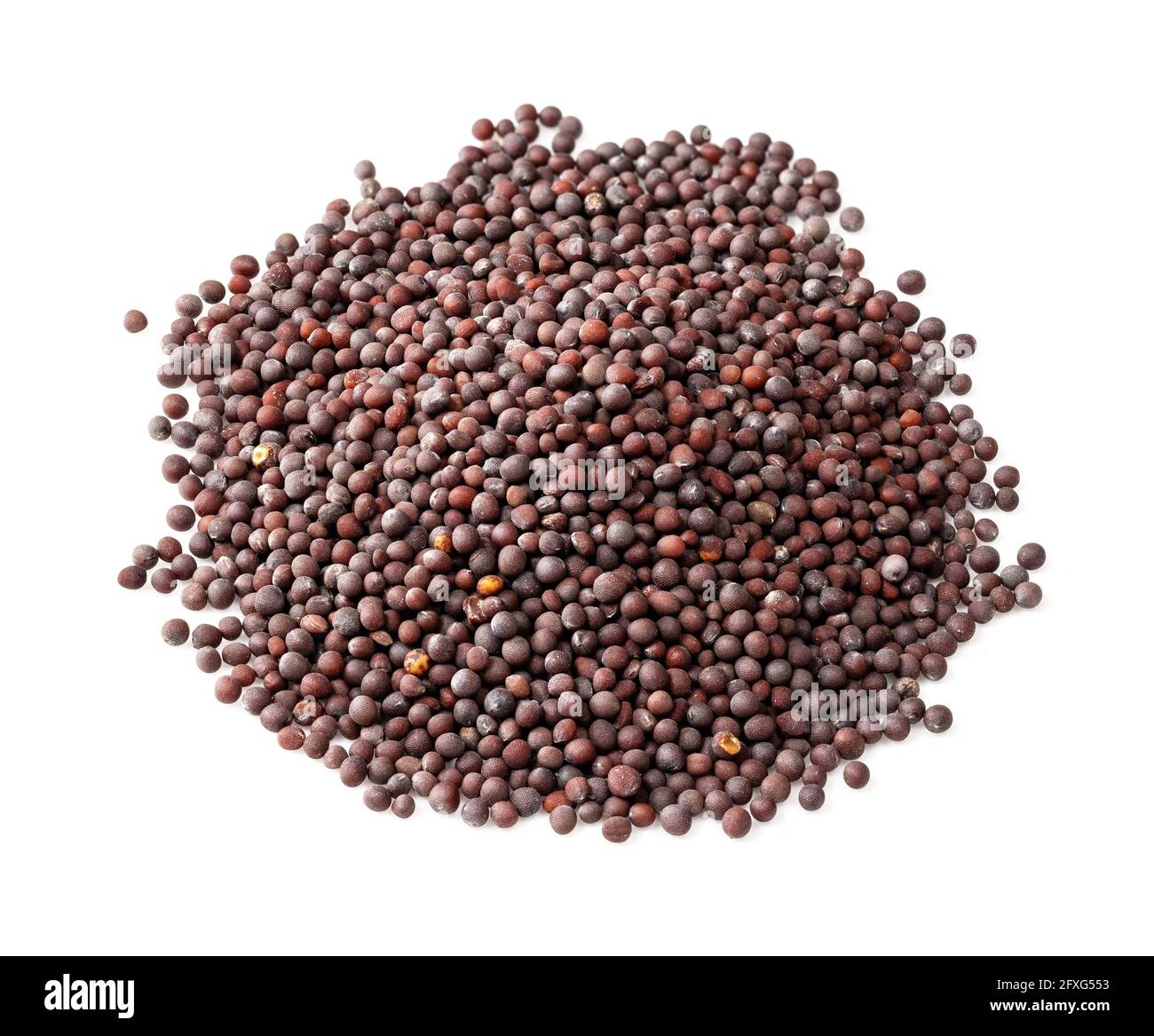 pile of black mustard (Brassica nigra) seeds closeup on white