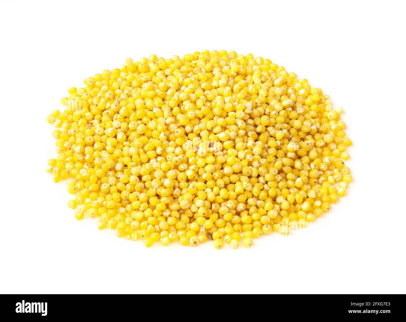 handful of millet groats from husked proso millet closeup on white ...