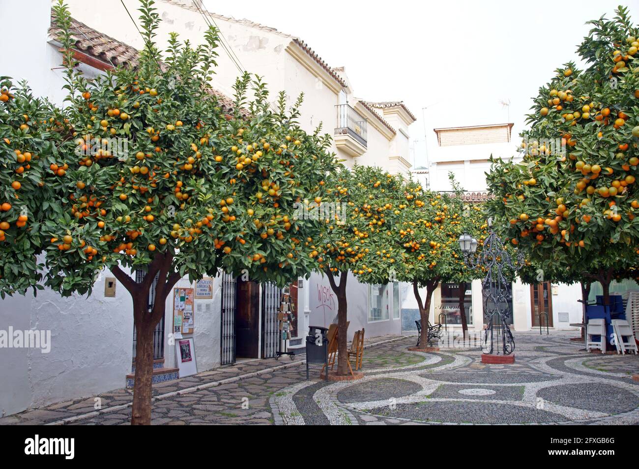 Andalucia in Spain Orange trees in Plaza Manilva in Estepona Stock
