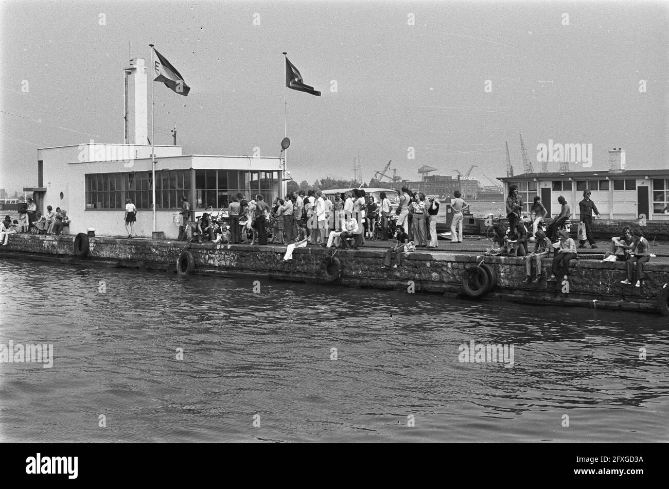 Veronica vain hi-res stock photography and images - Alamy