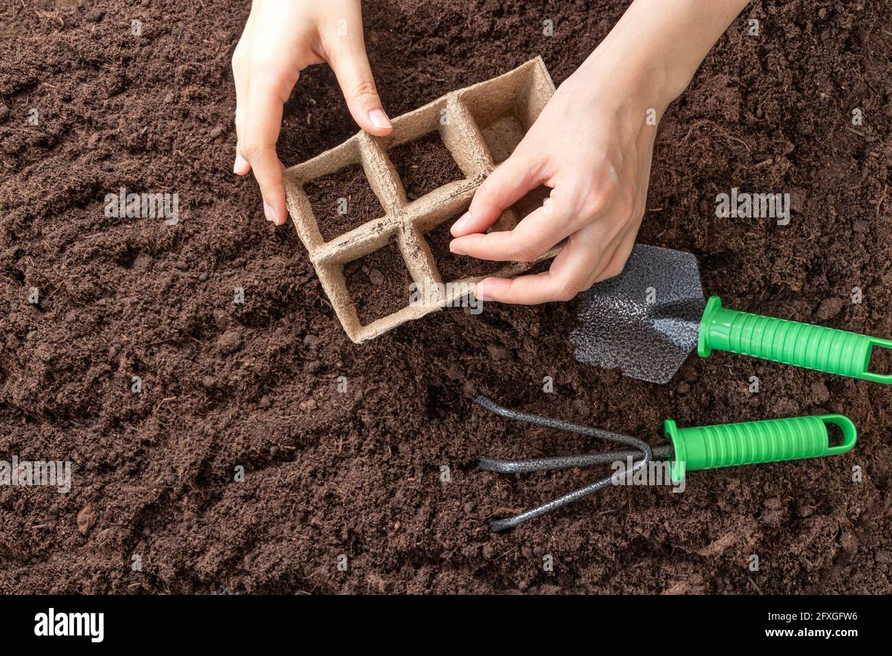 Top view of female hands in a plaid shirt plant seeds in peat seedling pots. Garden tools shovel, rake on the ground. Soft focus. Stock Photo