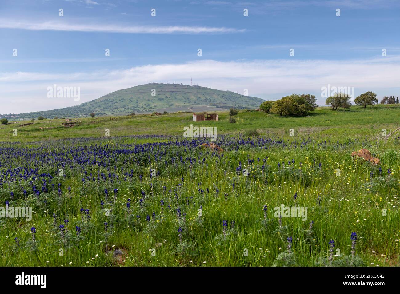 Hiking in the Golan Heights, The Golan Heights is a mountain range in ...