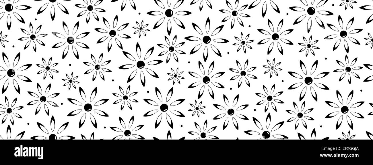 Seamless pattern of black and white daisy flowers abstract, banner Vector illustration. Stock Photo