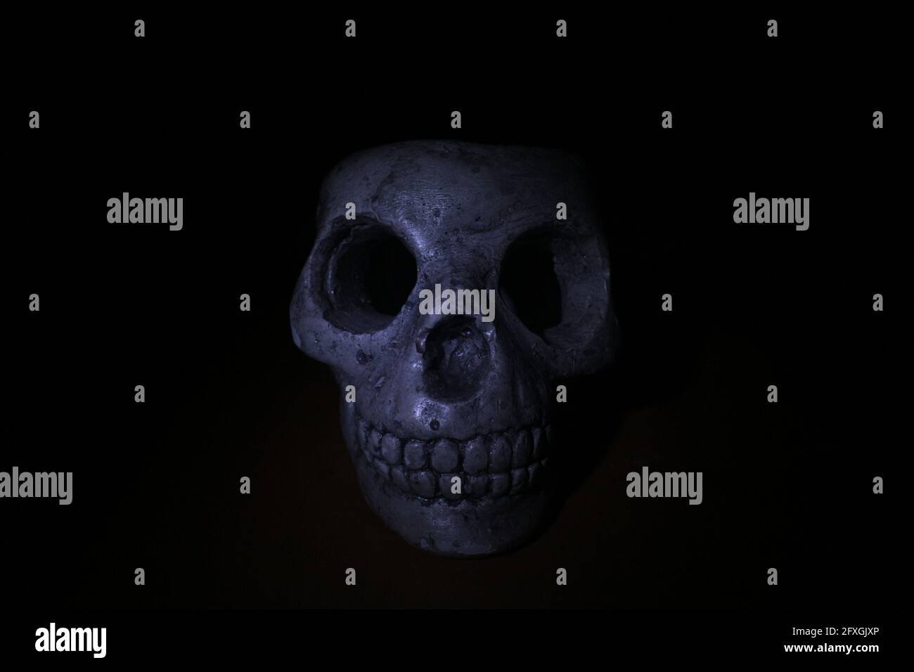 Skull of leaf hi-res stock photography and images - Alamy