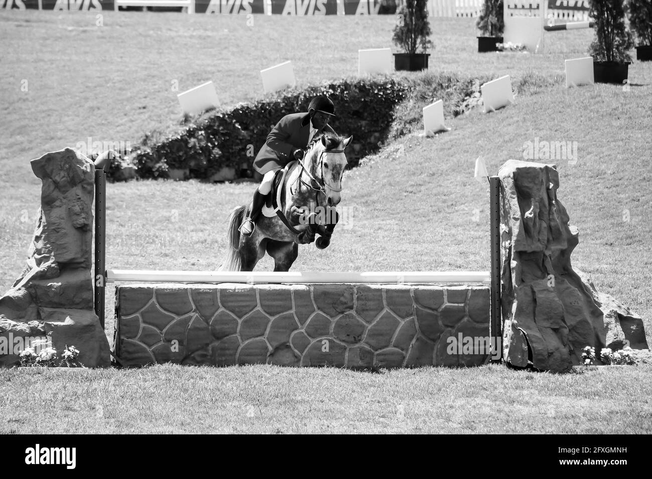 Equestrian obstacle course hires stock photography and images Alamy