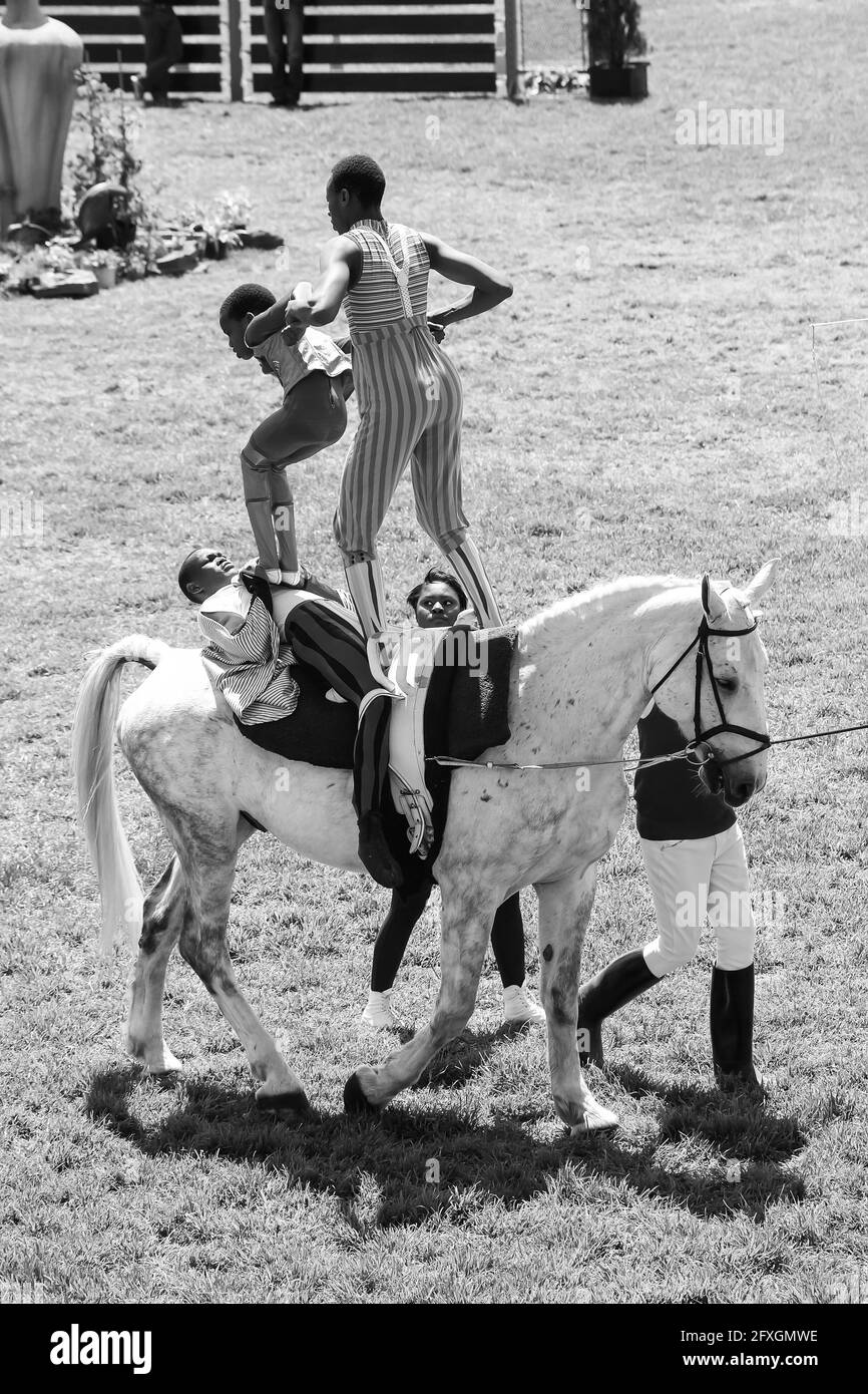 Champion jockey 2021 hires stock photography and images Alamy