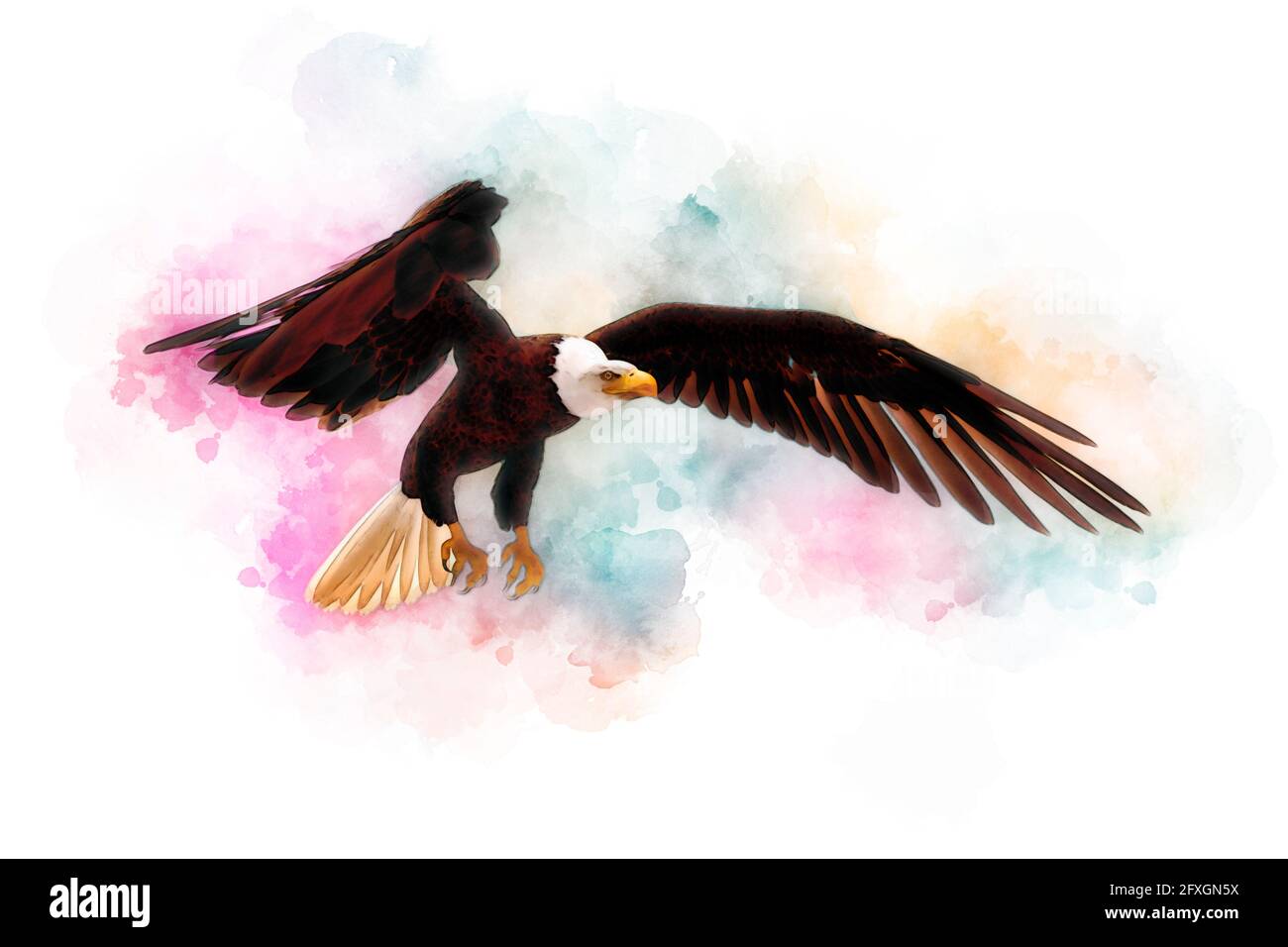 3D illustration bald eagle in the style of watercolor painting isolated ...