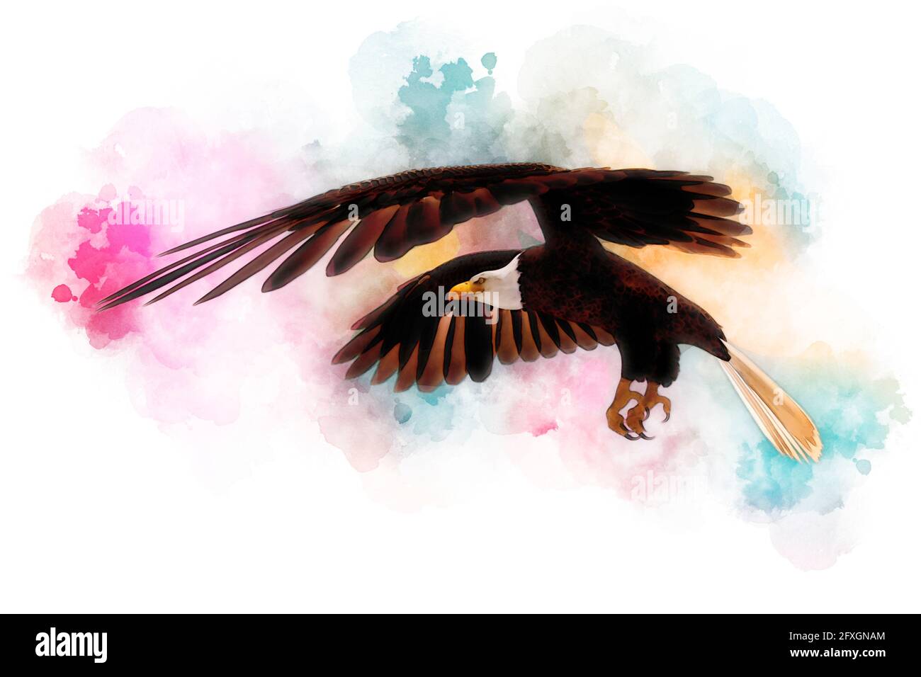 3D illustration bald eagle in the style of watercolor painting isolated ...