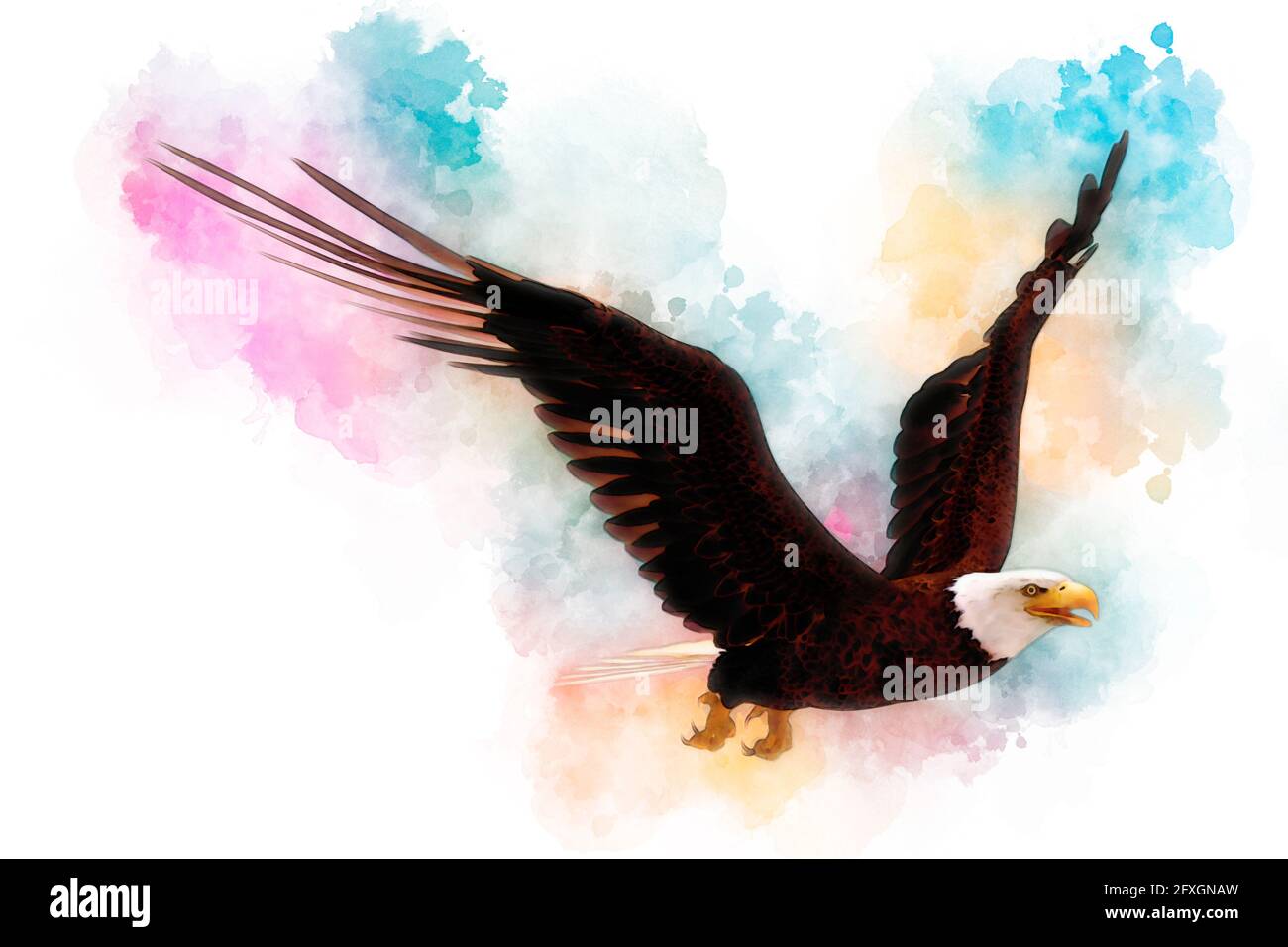 3D illustration bald eagle in the style of watercolor painting isolated ...