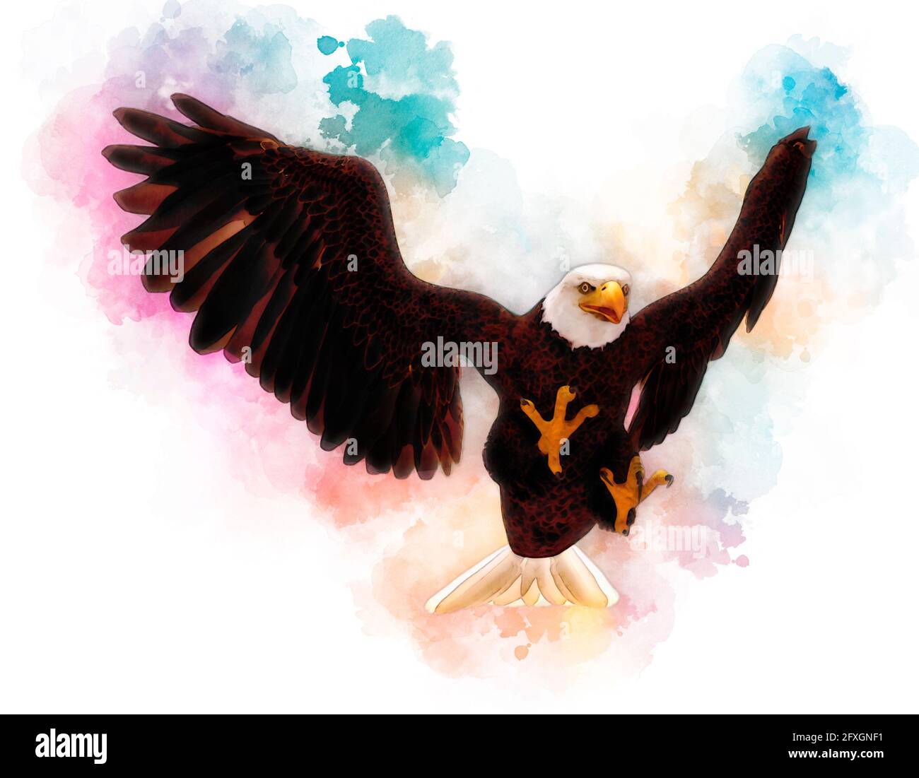 3D illustration bald eagle in the style of watercolor painting isolated ...