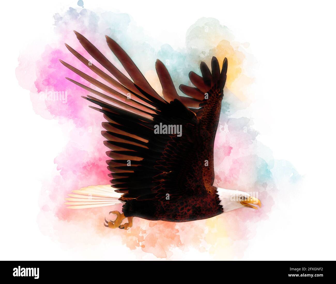 3D illustration bald eagle in the style of watercolor painting isolated ...
