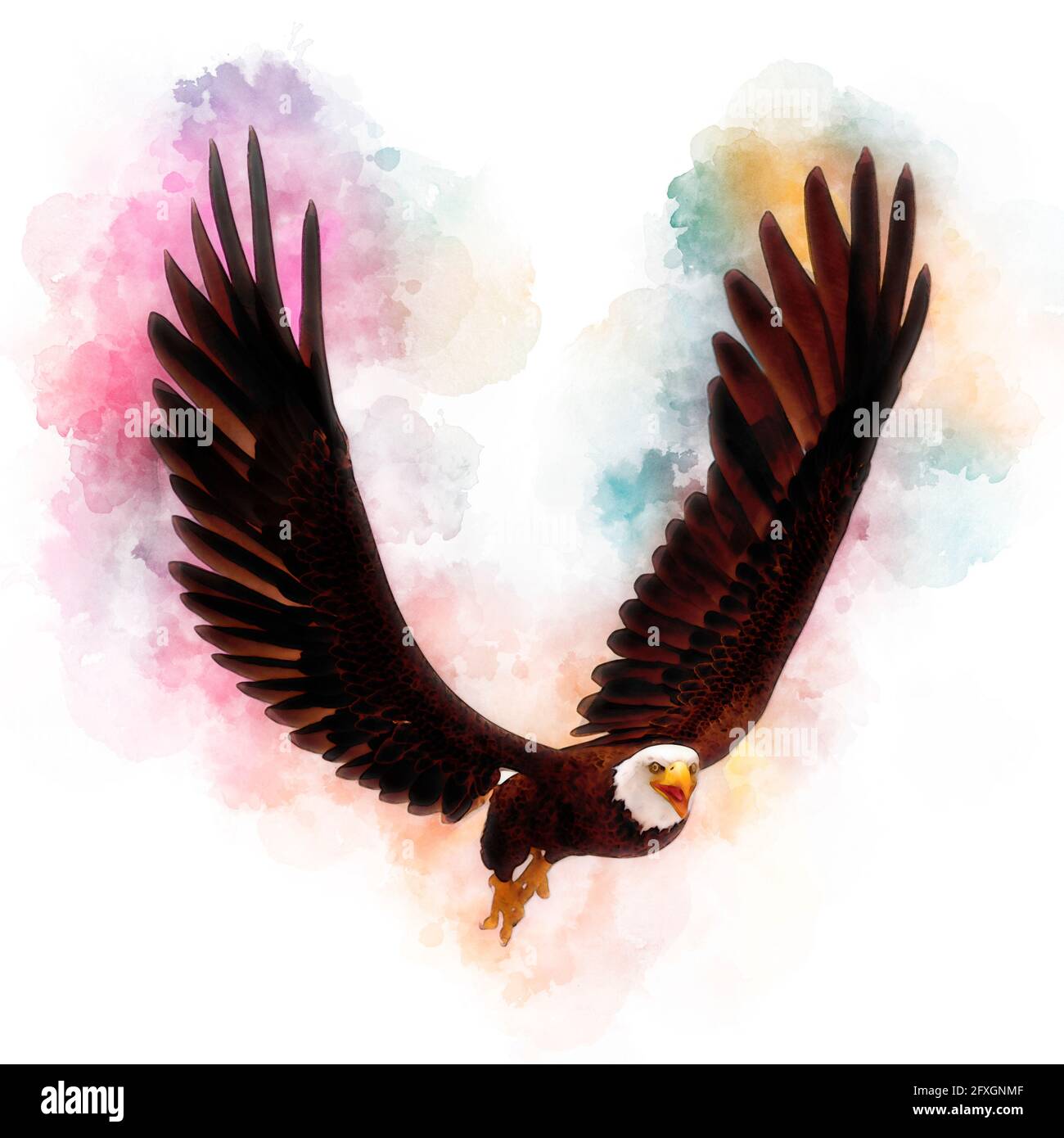 3D illustration bald eagle in the style of watercolor painting isolated ...