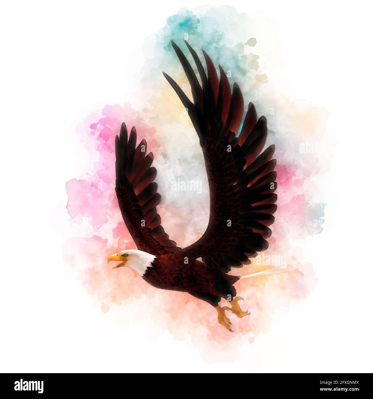 3D illustration bald eagle in the style of watercolor painting isolated ...