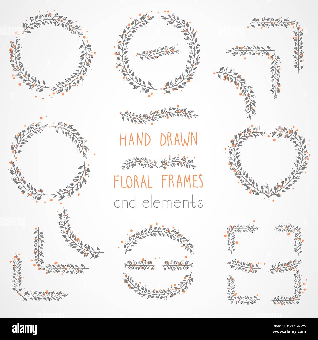 Vector set of floral hand drawn frames and decorative elements Stock ...