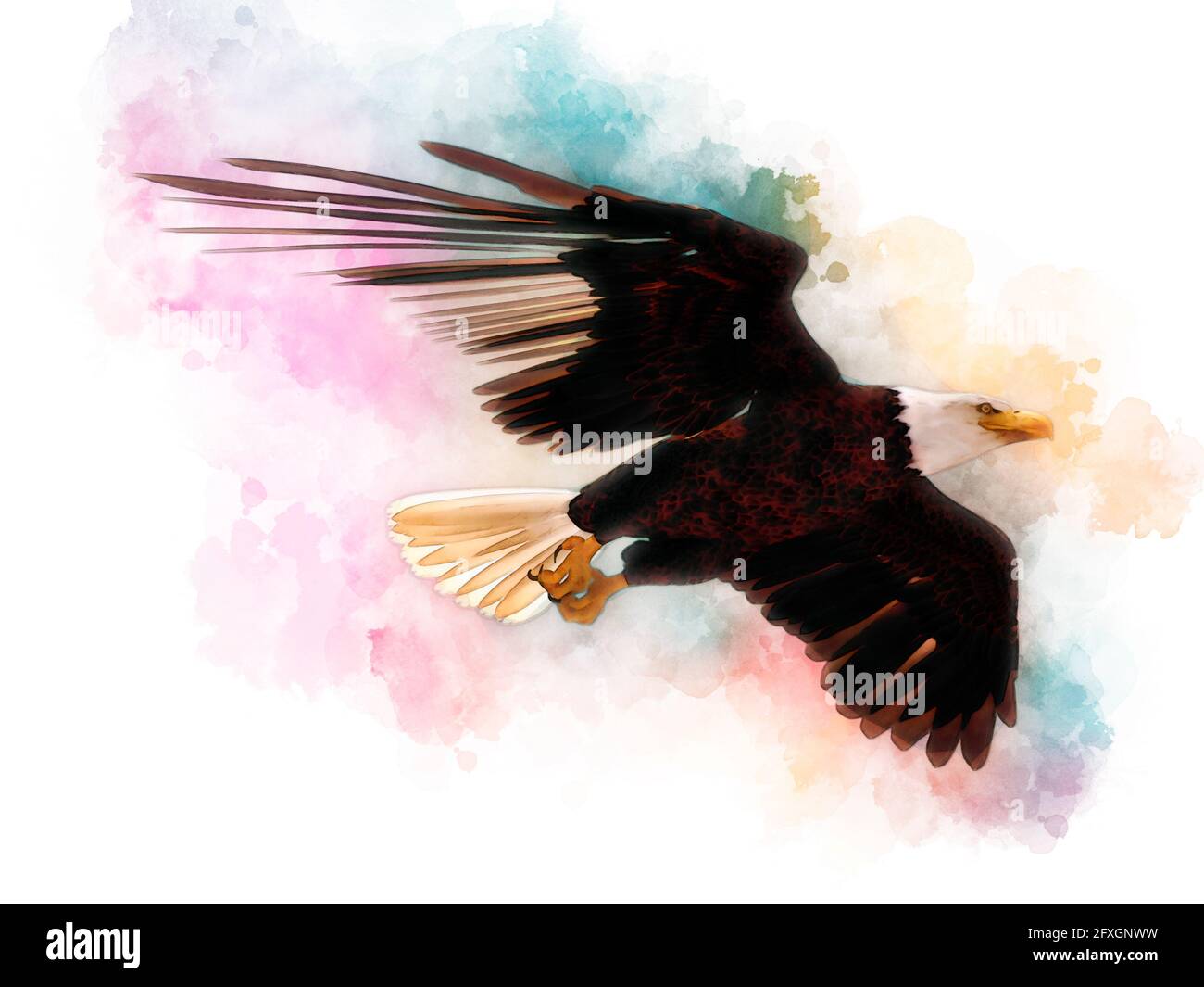 3D illustration bald eagle in the style of watercolor painting isolated ...