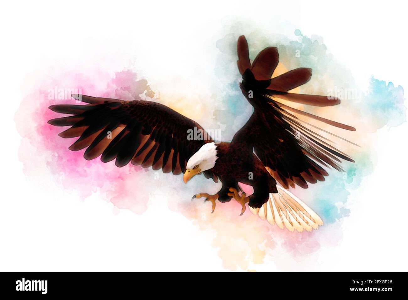 3D illustration bald eagle in the style of watercolor painting isolated ...