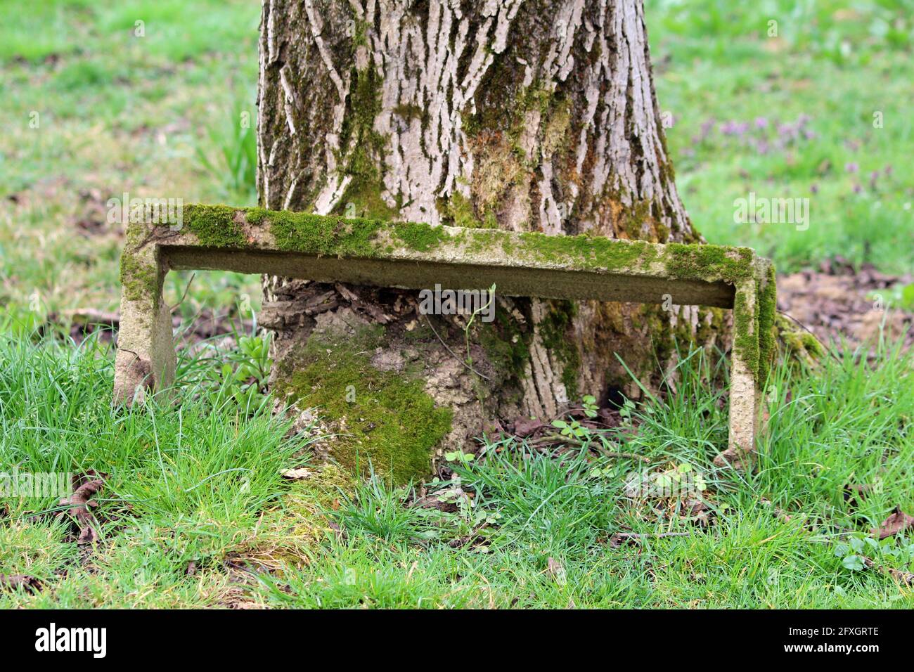 Old retro homemade makeshift broken vintage small concrete garden bench  partially covered with light green moss left in suburban family house  garden Stock Photo - Alamy, image size:1300x956