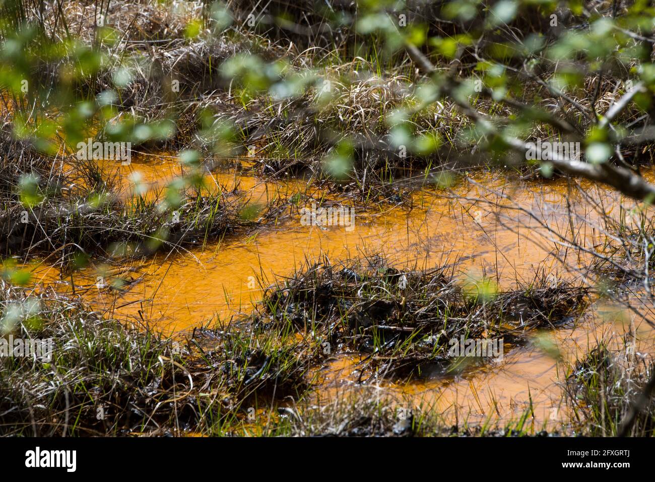 Water pollution in a river flowing from an old disused lead mine in Wales after passing through